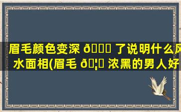 眉毛颜色变深 🍁 了说明什么风水面相(眉毛 🦍 浓黑的男人好吗 命运怎么样)